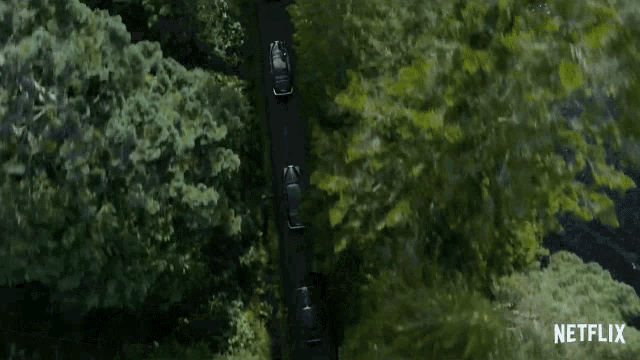Forest GIFs