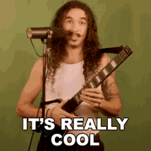 Its Really Cool Anthony Vincent GIF - Its Really Cool Anthony Vincent Ten Second Songs GIFs