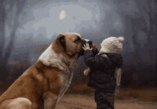Bestie Dogs Life GIF - Bestie Dogs Life Little Girl And Her Friend GIFs