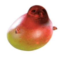 a mango with a monkey face on it