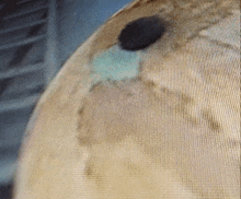 a close up of a screen showing a globe