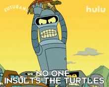 No One Insults The Turtles Bender GIF - No One Insults The Turtles Bender Futurama GIFs