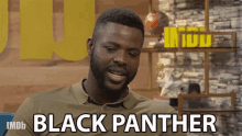 Black Panther Describe GIF - Black Panther Describe Name GIFs