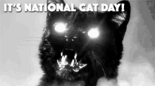 National Cat Day GIF - National Cat Day Catday Scary GIFs