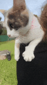 a cat with a pink collar is being held by a woman