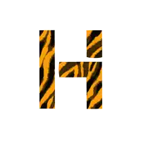 a letter h with a tiger print pattern on it
