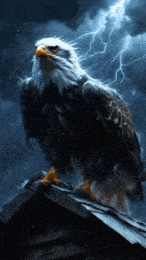 a bald eagle standing on a roof with lightning behind it