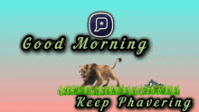 Phaver Keep Phavering GIF - Phaver Keep Phavering Good Morning GIFs