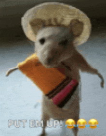 Mexican Mouse GIF