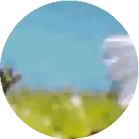 a circle with a blue sky in the background