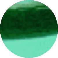 a green circle with a white background and a few lines on it