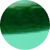 a green circle with a white background and a few lines on it