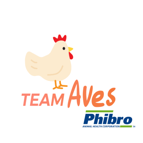 Phibro Chickens Sticker - Phibro Chickens Stickers