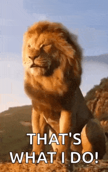 a lion with the words that 's what i do written on it