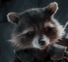 Rocket Raccoon Guardians Of The Galaxy GIF