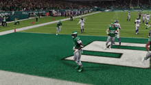 a philadelphia eagles football game is being played in a video game
