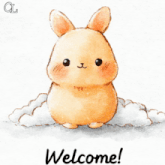 a picture of a bunny with the words welcome written below it