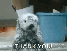 Oh No You Didnt Otter GIF - Oh No You Didnt Otter Get Otter Here GIFs