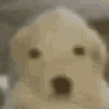 Dog Discord GIF - Dog Discord Cursed GIFs