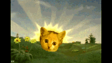 Minerva Cat GIF