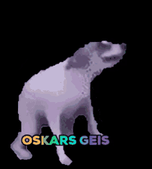 Oskars GIF - Oskars GIFs