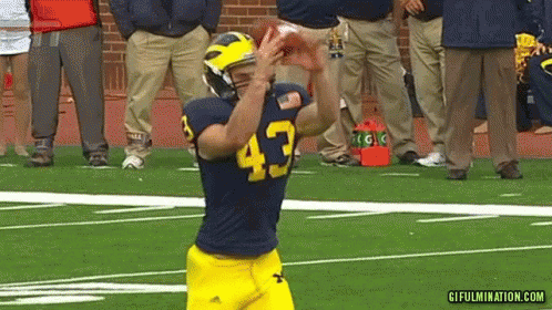 Sports Lol GIF - Sports Lol Funny - Discover & Share GIFs