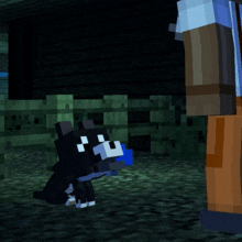 a black and white minecraft character standing next to another character