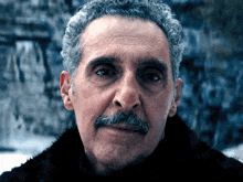 a man with gray hair and a mustache is wearing a black fur coat