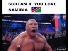 Namibia Scream If You Love GIF - Namibia Scream If You Love Brock Lesnar GIFs