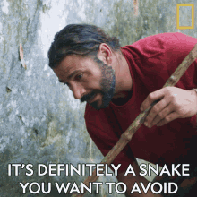 Its Definitely A Snake You Want To Avoid Toxic Person GIF