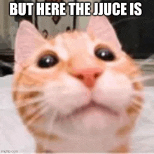 But Here The Jjuce Is GIF