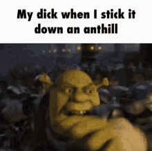 Ant Hill My Dick When Stick To Ant Hill GIF - Ant Hill My Dick When Stick To Ant Hill Shrek GIFs