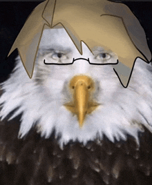 a bald eagle wearing glasses and a blonde haircut