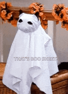 a cat is wrapped in a white sheet with the words that 's boo sheet written on it
