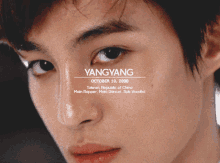Yangyang Yangyang Wayv GIF - Yangyang Yangyang Wayv Wayv GIFs