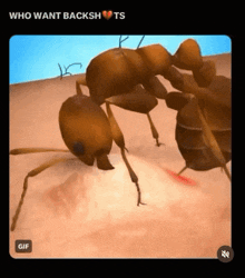 Ant Backshots Help Funnsies GIF - Ant Backshots Help Backshots Funnsies GIFs