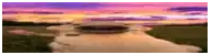 a blurry picture of a lake with a sunset in the background