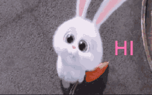Snowball Rabbit GIF - Snowball Rabbit Hi GIFs