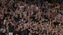 Crowd Cheering GIF - Crowd Cheering GIFs