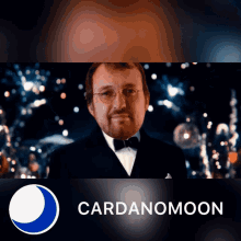 Charles Hoskinson Cardanomoon GIF - Charles Hoskinson Cardanomoon Adamoon GIFs