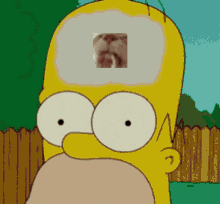 Homer Simpson Cat GIF - Homer Simpson Cat Licks GIFs