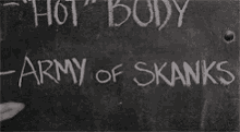 Army Of GIF - Army Of Skanks GIFs