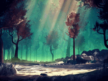 Calm Forest Beautiful GIF
