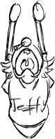 a black and white drawing of a cartoon character with the word teffy written on it