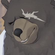 a close up of a teddy bear 's face with a white star on its forehead