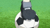 a person is kicking a soccer ball on the grass