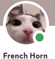a picture of a cat with the name french horn written below it