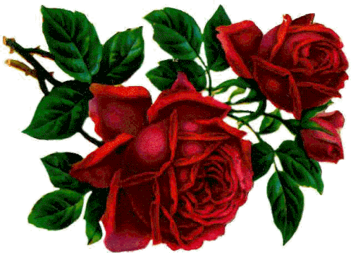 Roses Thorns Sticker - Roses Thorns Flower Stickers