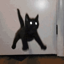 Bobatyun Cats GIF - Bobatyun Cats Blackcats GIFs