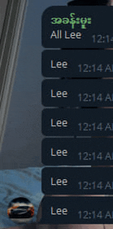 a screenshot of a text message between lee and lee